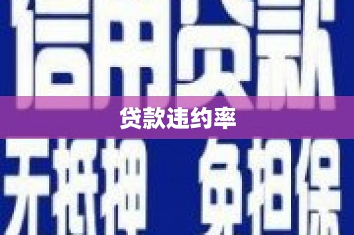 禄劝贷款违约率