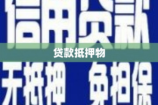 禄劝贷款抵押物