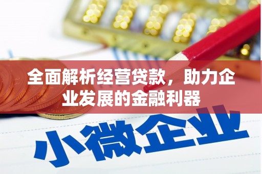 禄劝全面解析经营贷款，助力企业发展的金融利器