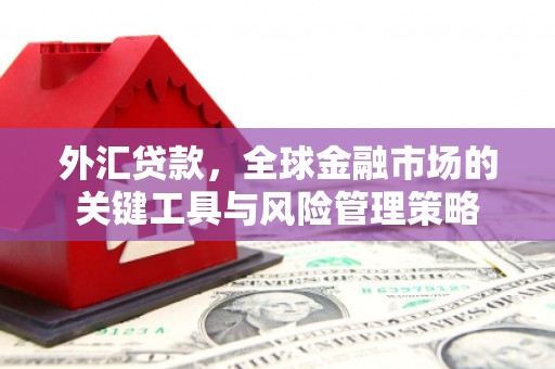 禄劝外汇贷款，全球金融市场的关键工具与风险管理策略
