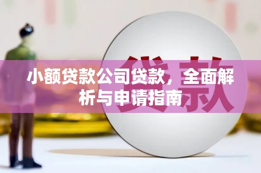 禄劝小额贷款公司贷款，全面解析与申请指南