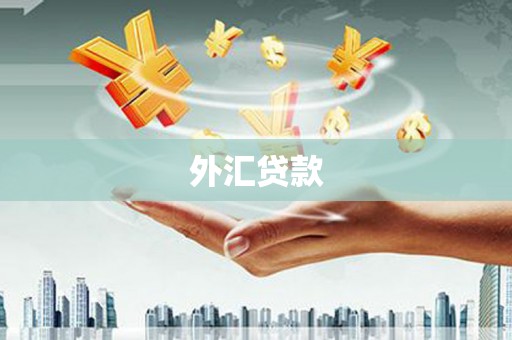 禄劝外汇贷款
