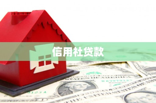 禄劝信用社贷款