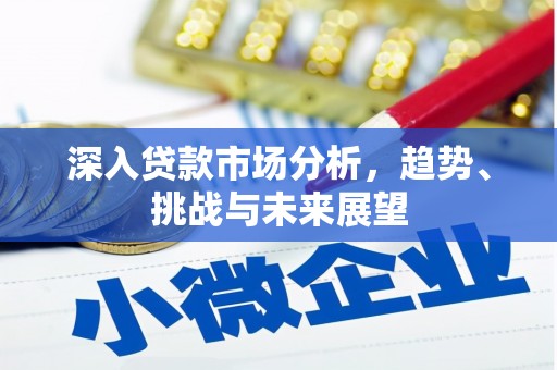 禄劝深入贷款市场分析，趋势、挑战与未来展望