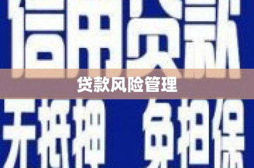 禄劝贷款风险管理