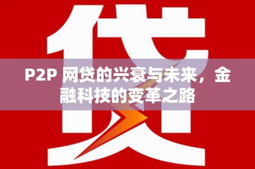 禄劝P2P 网贷的兴衰与未来，金融科技的变革之路