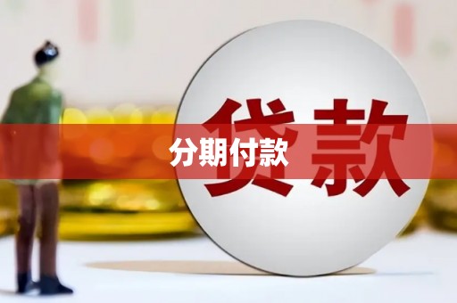 禄劝分期付款