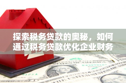 禄劝探索税务贷款的奥秘，如何通过税务贷款优化企业财务