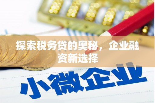 禄劝探索税务贷的奥秘，企业融资新选择