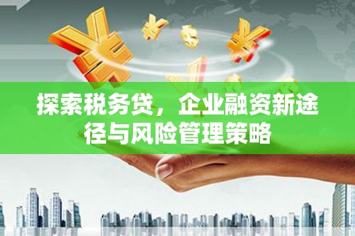 禄劝探索税务贷，企业融资新途径与风险管理策略