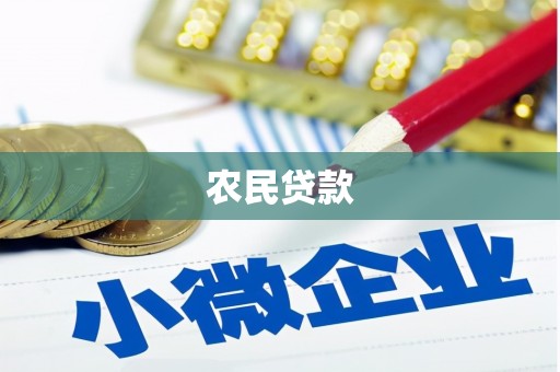 禄劝农民贷款
