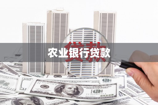 禄劝农业银行贷款