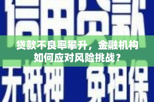 禄劝贷款不良率攀升，金融机构如何应对风险挑战？
