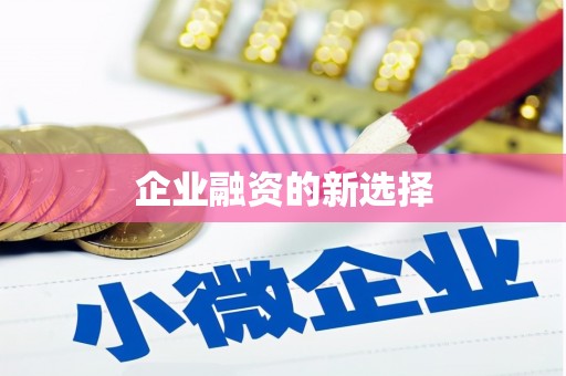 禄劝企业融资的新选择