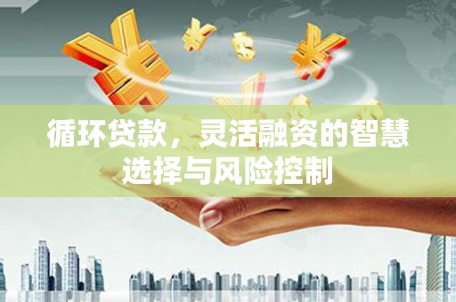 禄劝循环贷款，灵活融资的智慧选择与风险控制