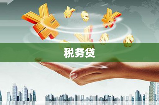 禄劝税务贷