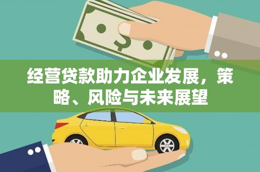 禄劝经营贷款助力企业发展，策略、风险与未来展望