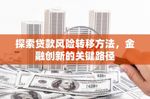 禄劝探索贷款风险转移方法，金融创新的关键路径