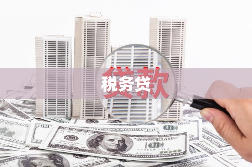 禄劝税务贷
