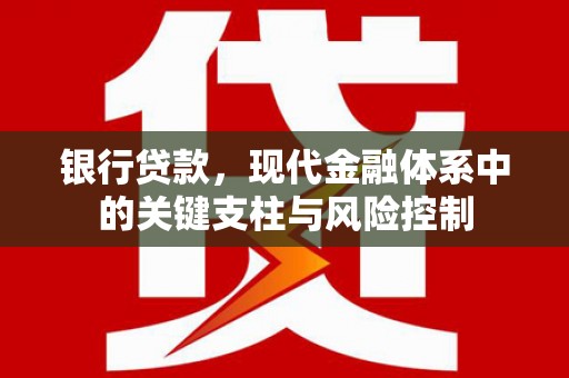 禄劝银行贷款，现代金融体系中的关键支柱与风险控制