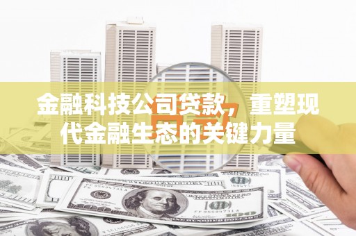 禄劝金融科技公司贷款，重塑现代金融生态的关键力量