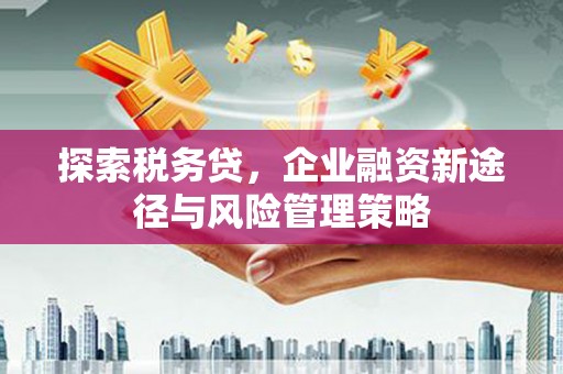 禄劝探索税务贷，企业融资新途径与风险管理策略