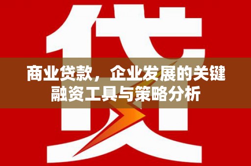禄劝商业贷款，企业发展的关键融资工具与策略分析