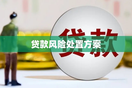 禄劝贷款风险处置方案
