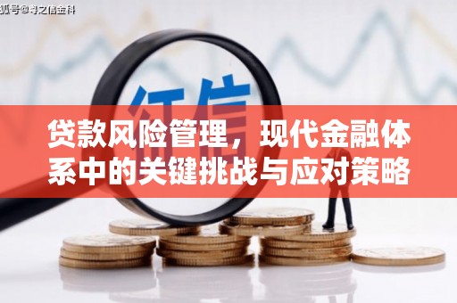 禄劝贷款风险管理，现代金融体系中的关键挑战与应对策略