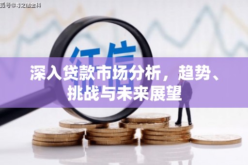 禄劝深入贷款市场分析，趋势、挑战与未来展望