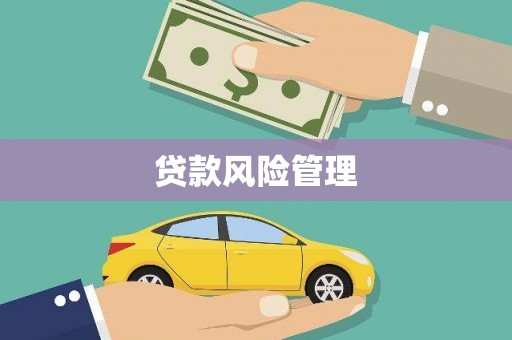禄劝贷款风险管理