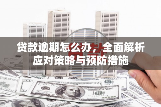 禄劝贷款逾期怎么办，全面解析应对策略与预防措施