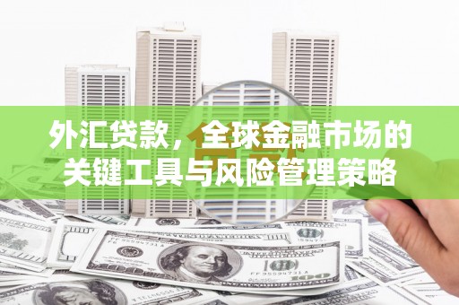 禄劝外汇贷款，全球金融市场的关键工具与风险管理策略