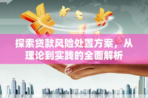 禄劝探索贷款风险处置方案，从理论到实践的全面解析