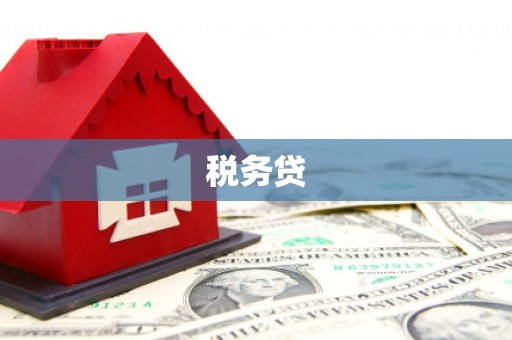 禄劝税务贷