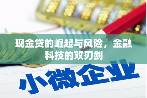 禄劝现金贷的崛起与风险，金融科技的双刃剑