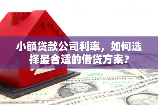 禄劝小额贷款公司利率，如何选择最合适的借贷方案？