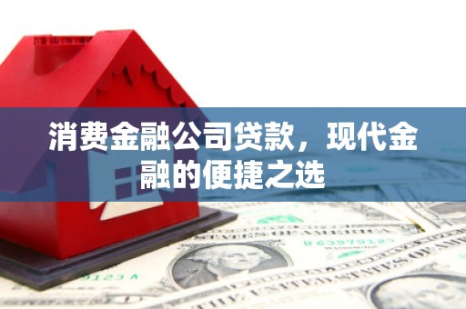 禄劝消费金融公司贷款，现代金融的便捷之选