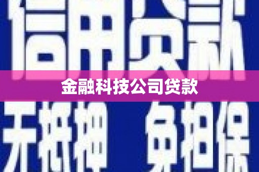 禄劝金融科技公司贷款