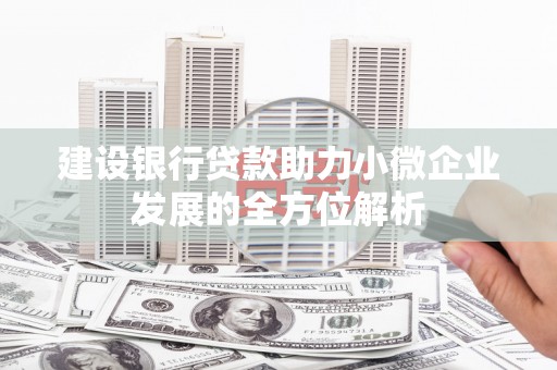 禄劝建设银行贷款助力小微企业发展的全方位解析