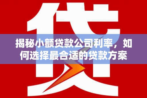 禄劝揭秘小额贷款公司利率，如何选择最合适的贷款方案
