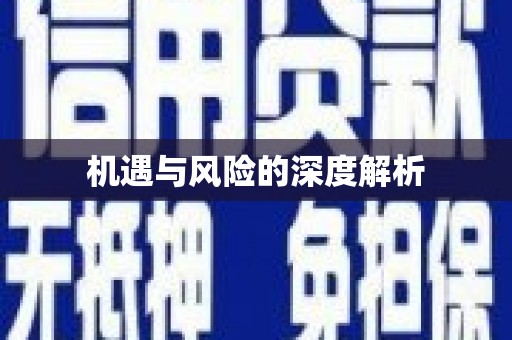 禄劝机遇与风险的深度解析