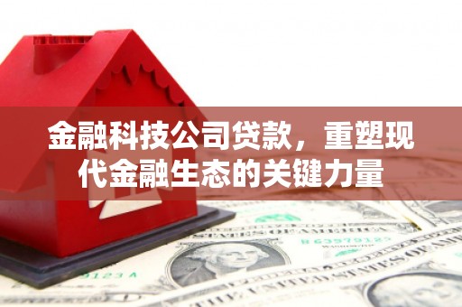 禄劝金融科技公司贷款，重塑现代金融生态的关键力量