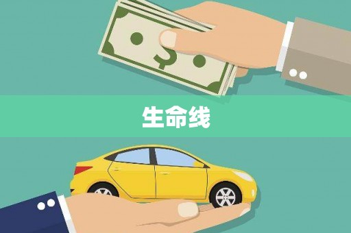 禄劝生命线