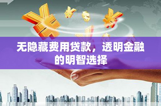 禄劝无隐藏费用贷款，透明金融的明智选择