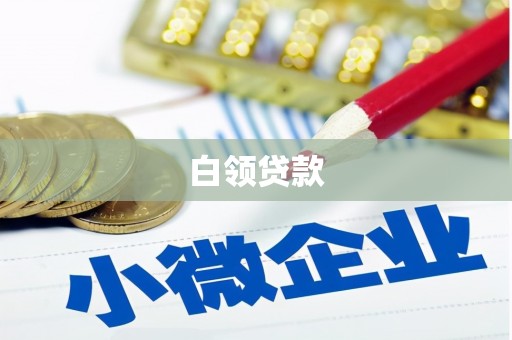 禄劝白领贷款