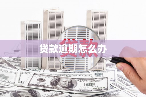 禄劝贷款逾期怎么办