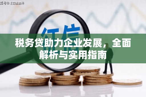禄劝税务贷助力企业发展，全面解析与实用指南