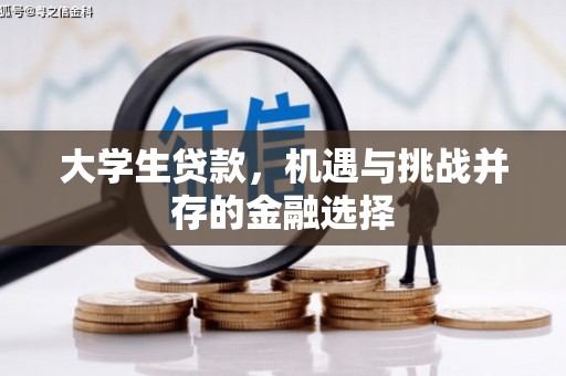 禄劝大学生贷款，机遇与挑战并存的金融选择