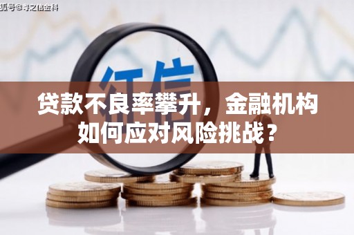 禄劝贷款不良率攀升，金融机构如何应对风险挑战？